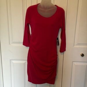EXPRESS Sz Small dark pink LS bodycon ruched sides dress NWT B1015